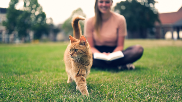 女人和她的猫